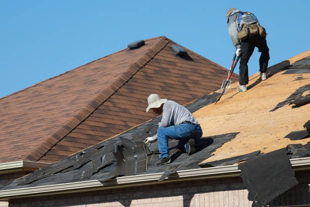 Best 4 Ply Roofing  in Hornsby Bend, TX