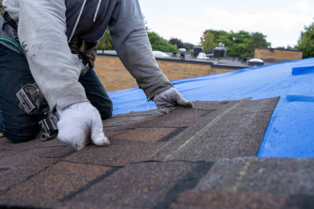 Best Green or Eco-Friendly Roofing Solutions  in Hornsby Bend, TX
