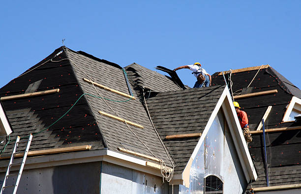 Sheet Metal Roofing in Hornsby Bend, TX
