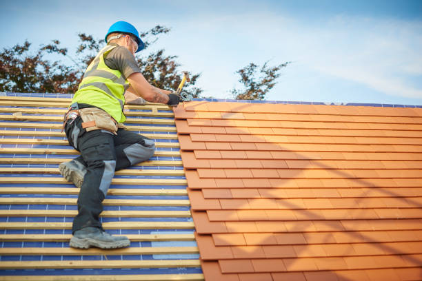 Best Storm Damage Roof Repair  in Hornsby Bend, TX
