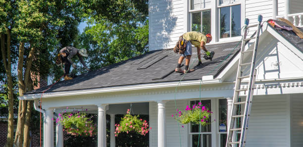 Best Gutter Installation and Repair  in Hornsby Bend, TX